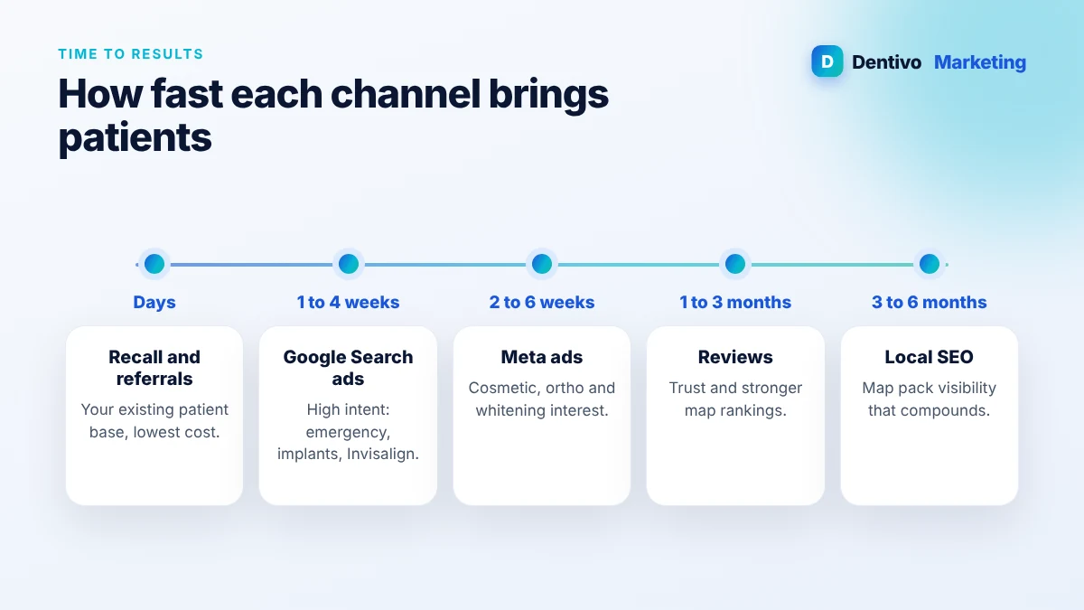 Timeline showing how quickly Google ads, Meta ads, local SEO and reviews bring new dental patients